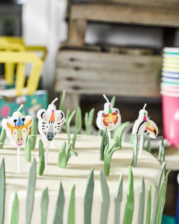 Zoo Candles – Pimm Parties